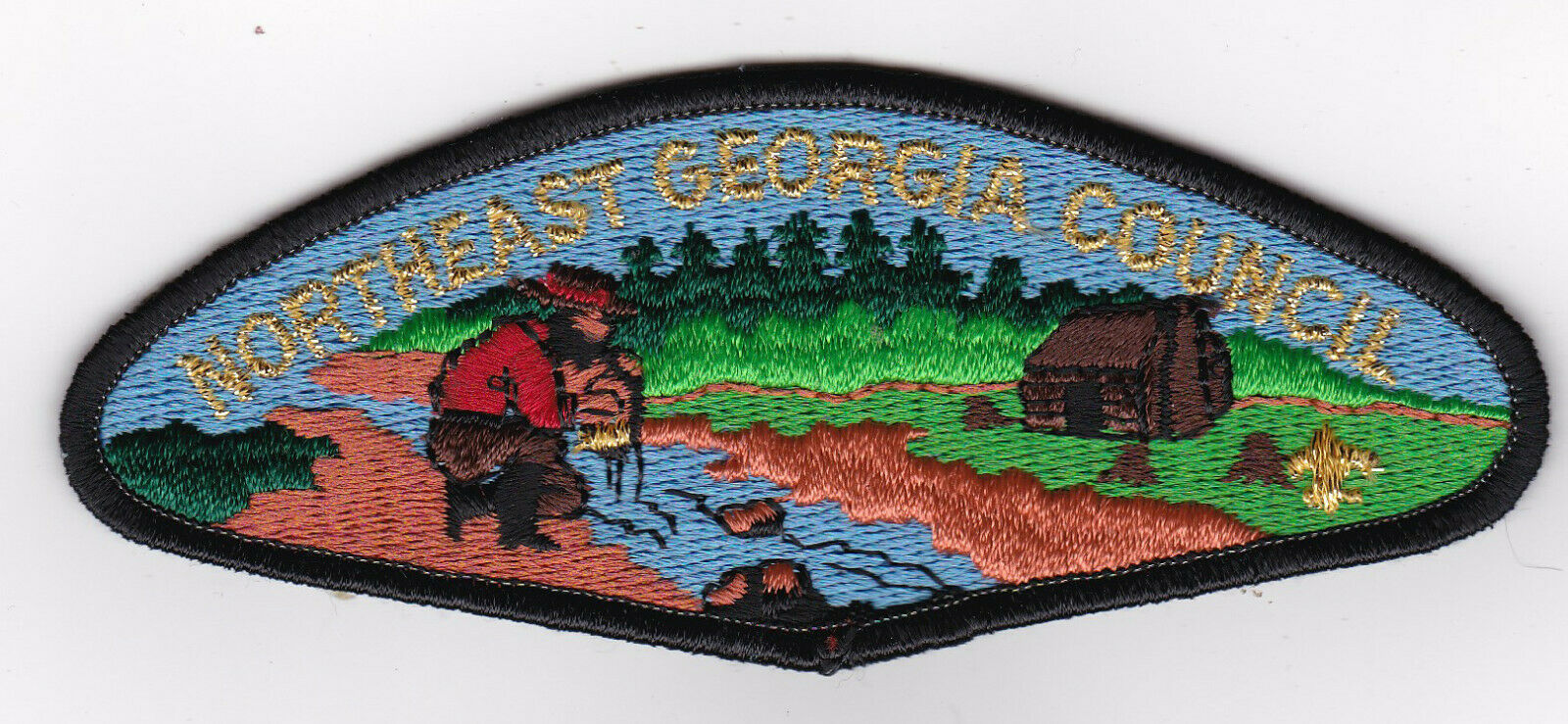 Csp - Northeast Georgia Council - S-2a