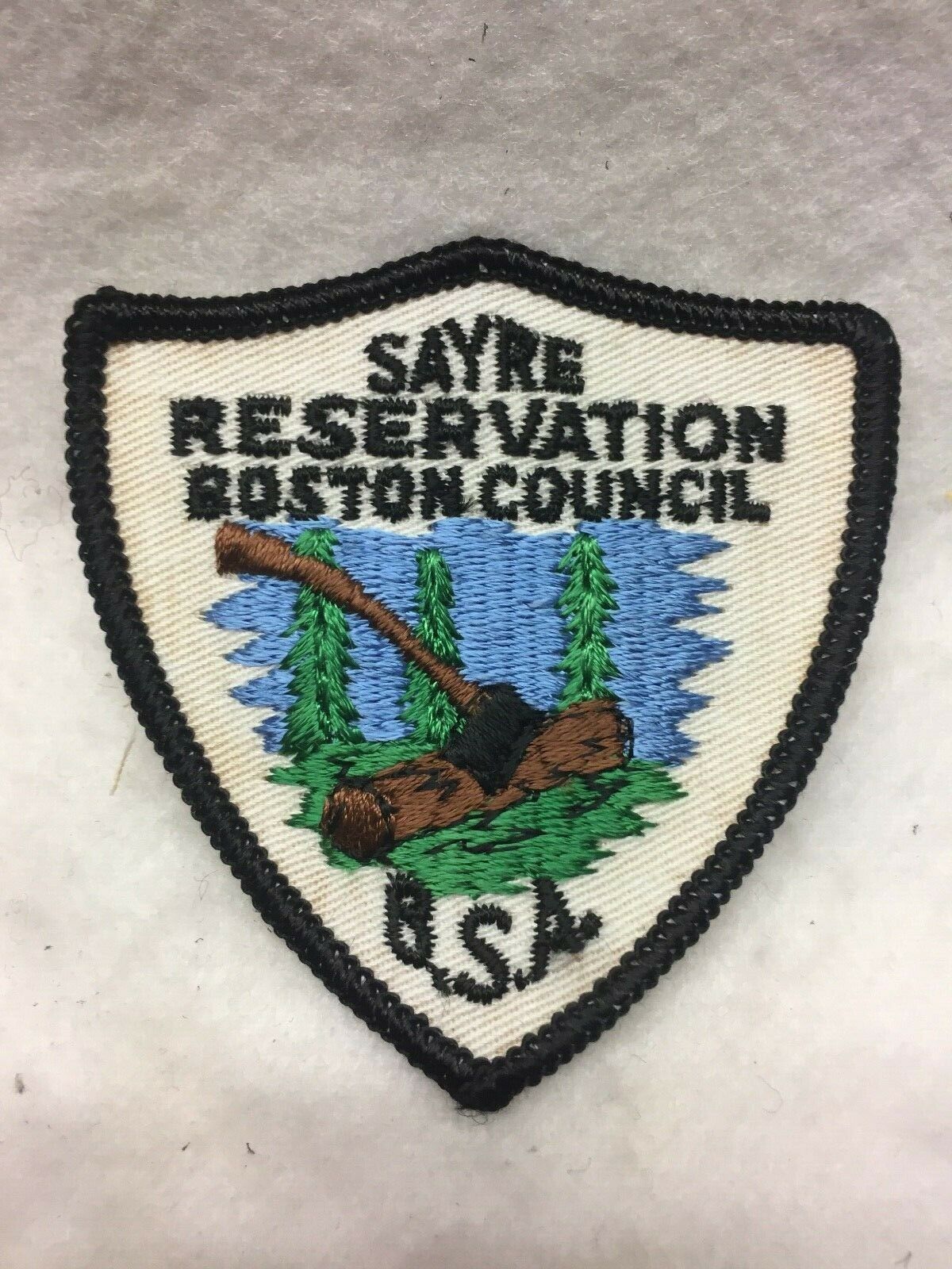 (46ae) Boy Scouts-  Sayre Reservation - Boston Council Patch
