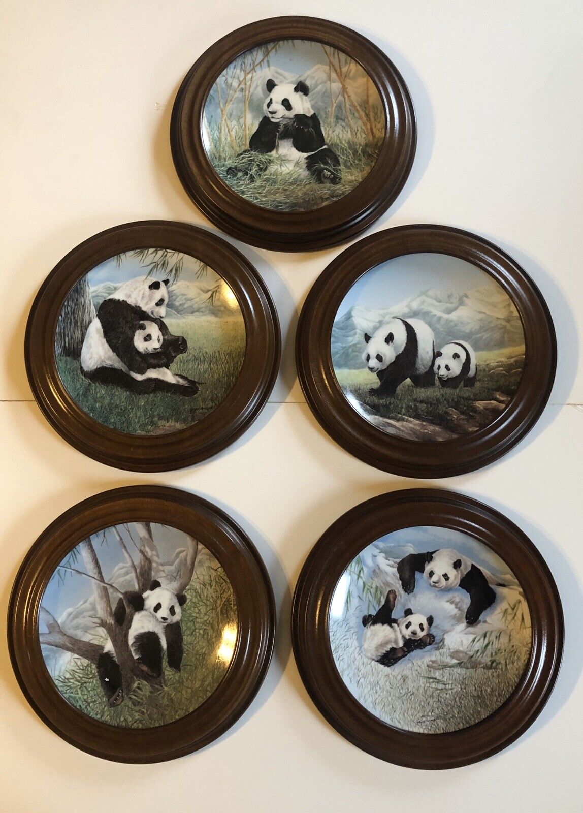 ”the Secret World Of Pandas”  5 Wood Framed Plates By Joyce Bridgett- Ws George