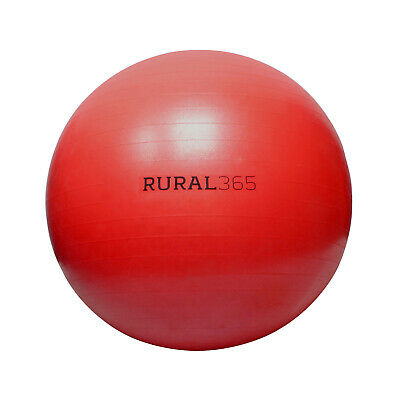 Rural365 | Large Horse Ball Toy – Anti-burst Giant Horse Ball With Hand Pump